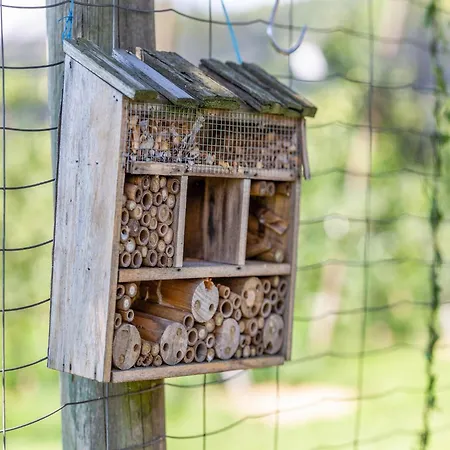In Styria Near Thermal Spas, Cleaning Included *